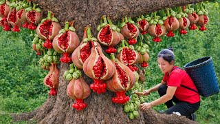 Download Lagu Harvest A Lot Of Oleaster Nhot Fruit Climb Tall Tree Goes to Market Sell | Susan Daily Life MP3