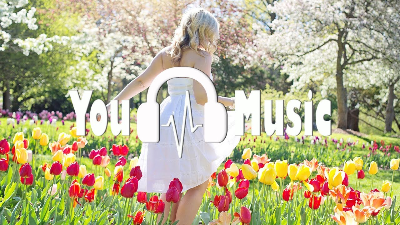 Bloom (by Nekzlo) No copyright Music for Monetize 🎧 You Music