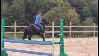 Cheval À Vendre - Poney 4 Ans - Oncs Noir - Equirodi.com