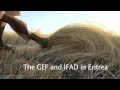 Eritrea: IFAD / GEF Partnership