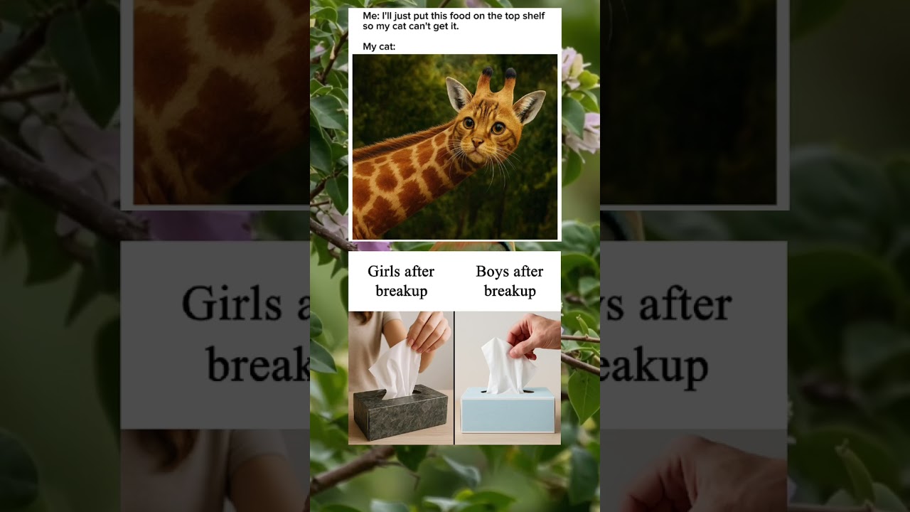 Because life’s better with memes 😎❤️😂 