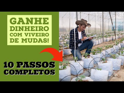 Vídeo: Cultivo Correto De Mudas