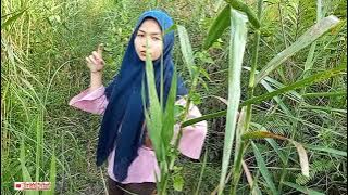 Cewek di semak belukar