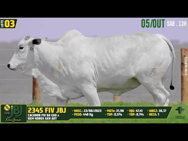 LOTE 03   JBJ 2345