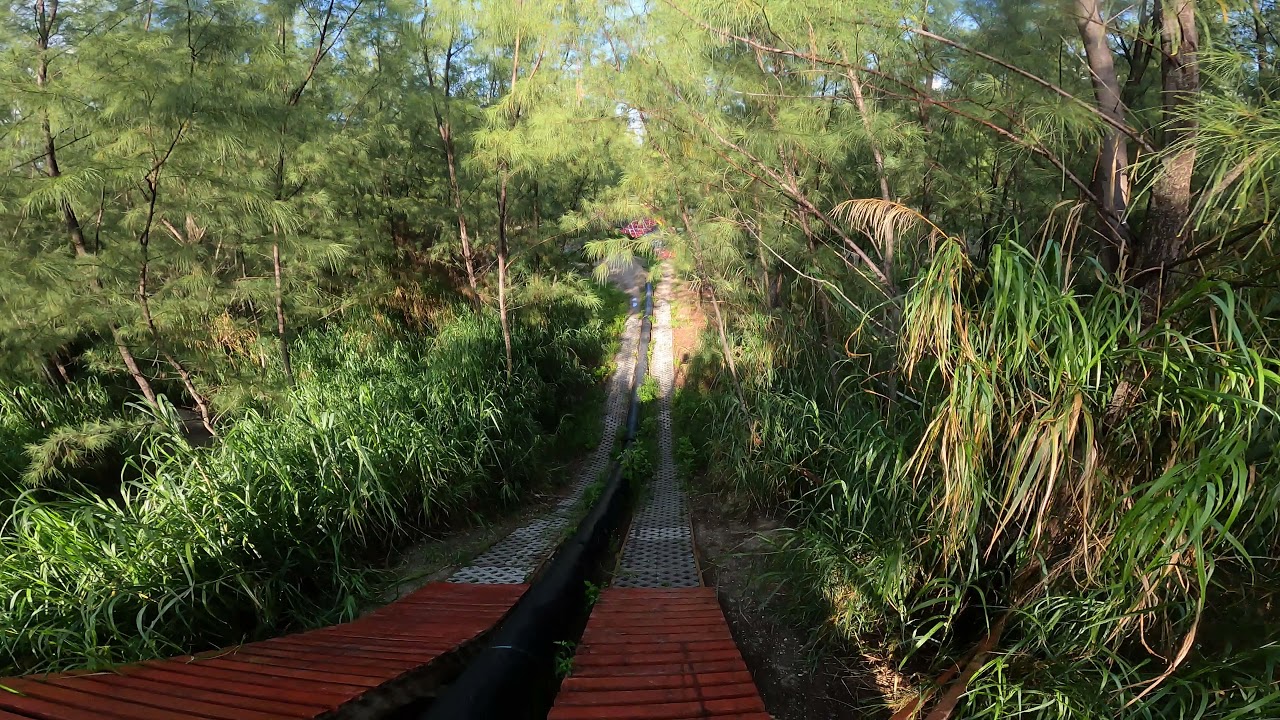 GOPRO9 4k 2021 07 11 mountainbiking Virginia Key in the rain 10of13