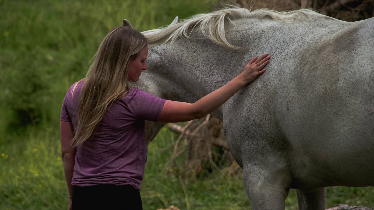 Women Who Run with Horses Retreat YouTube