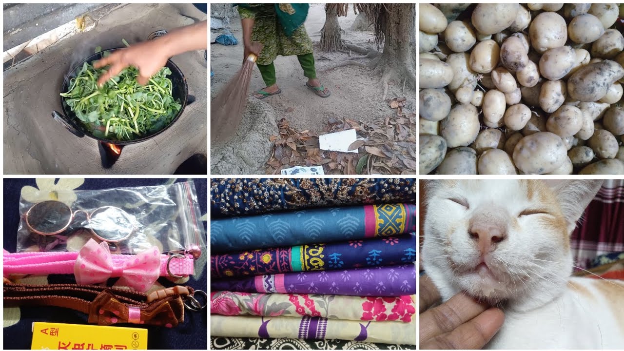 সকাল থেকে সন্ধ্যা পর্যন্ত যা যা করলাম মিষ্টিকে খুঁজে পাওয়া যাচ্ছে না #villagelife #arifablogvideo 