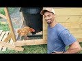 How to build an Automatic Chicken Feeder for $25