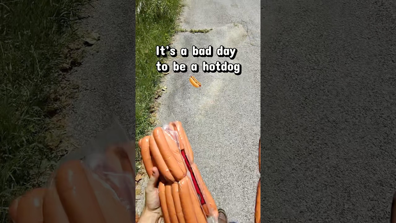 🌭 It’s a bad day to be a hotdog, but it’s a great day to listen to “Picture” 🌭