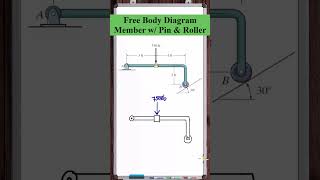 Free Body Diagram | Member with Pin & Roller
