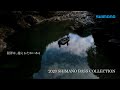 2020 SHIMANO BASS COLLECTION の動画、YouTube動画。