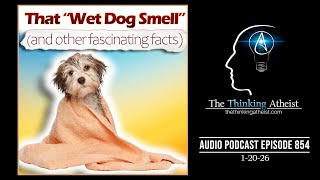 That "Wet Dog Smell" (and other fascinating facts)