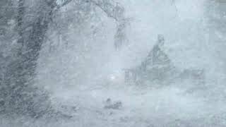 Heavy Blizzard Snowstorm | Intense Howling Wind & Snow Blowing | Sleep Sounds for Reduce Stress by Rose Wind 6,950 views 1 month ago 24 hours