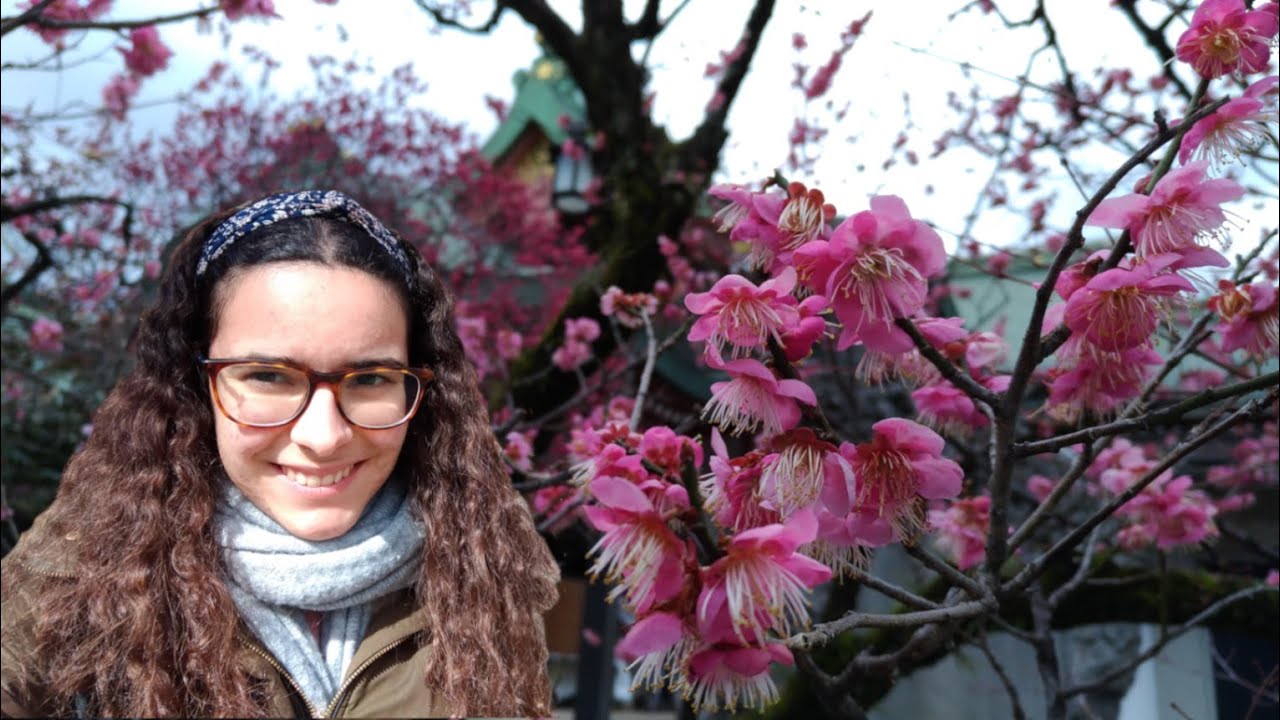 Japan Vlog 22 The Slow Descent into Madness (aka Final Exams are