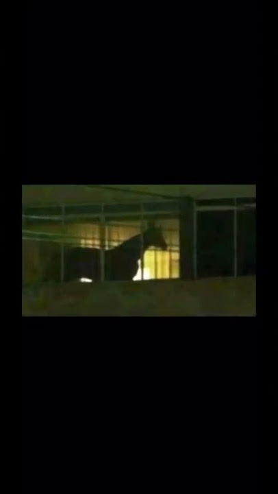 Juan on the balcony #shorts #meme #memes #funny #comedy #funnyvideo #juan