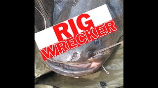 Carp rig savaged by Catfish but survived to tell the story