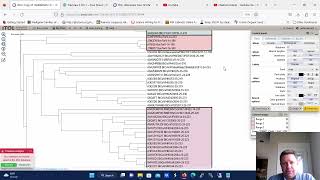 Highlight Clades in a Phylogenetic Tree or Dendrogram