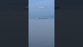 Strange at Sea ๐ Sea fog Rarely seen ๐ #sailing #sea #ship Strange at Sea ๐ Sea fog Rarely seen ๐ #sailing #sea #ship