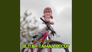 Download Lagu Blitar Taman Pecut Download Lagu Blitar Taman Pecut