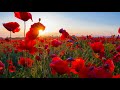 Melodic Progressive House mix Vol 20 (Endless Summer)