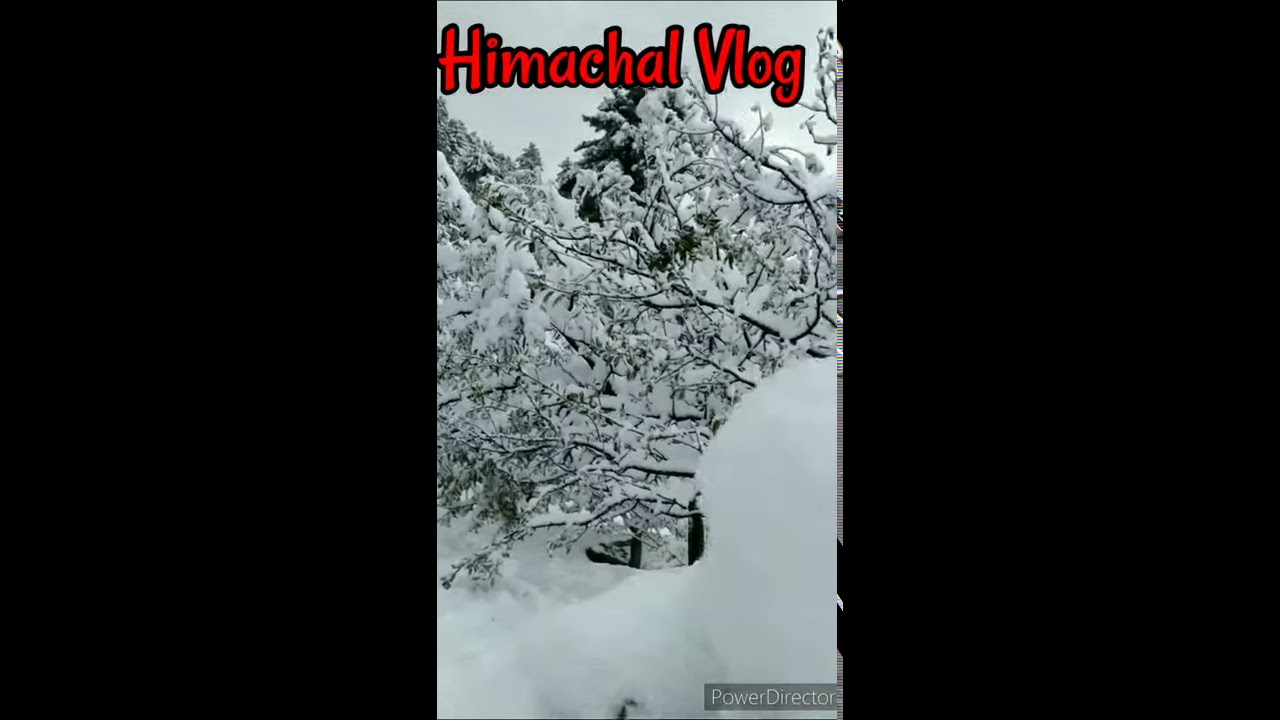 #HimachalVlog