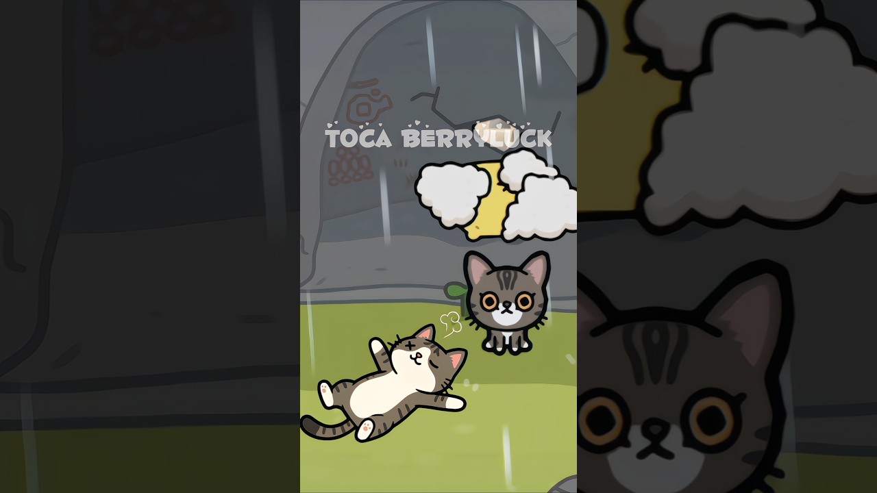 Poor stray cat family🥺🥀🐱💘 