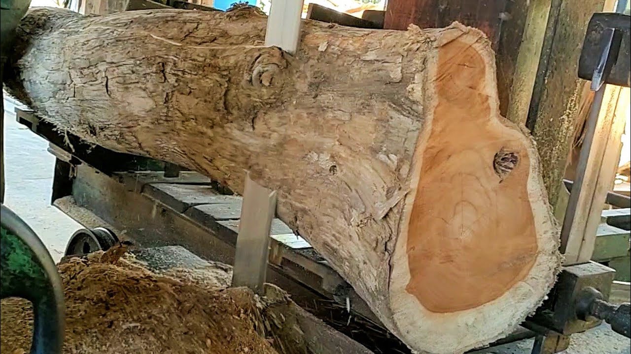 sawing old teak wood shoots into quality furniture materials at the ...