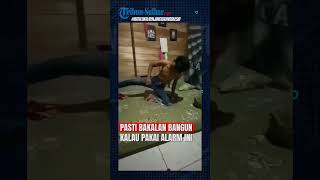 Pasti Bakalan Bangun Kalo Pakai Alarm Ini Pasti Bakalan Bangun Kalo Pakai Alarm Ini