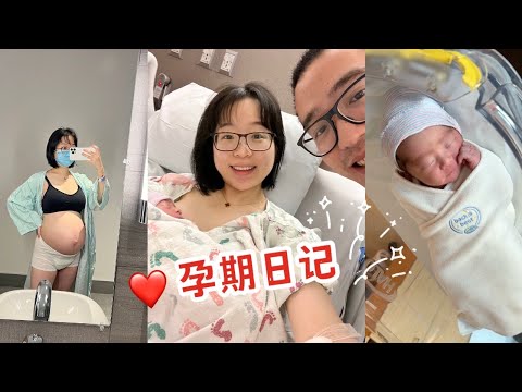 PREGNANCY DIARY | 孕16周～38周的点滴记录 📝 欢迎新生命的到来 ❤️