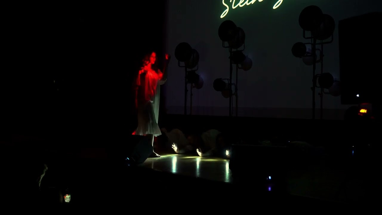 Stein Studio Maxi – Сценическое Искусство