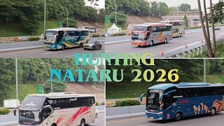 Hunting Bus Di Tol Cipali | NATARU 2026 