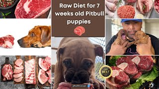 best raw food for pitbull puppies