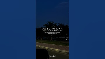 سورة الإخلاص القارئ/أحمد النفيس