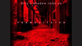 Only a Shadow Remains - The Anticipation of Torture