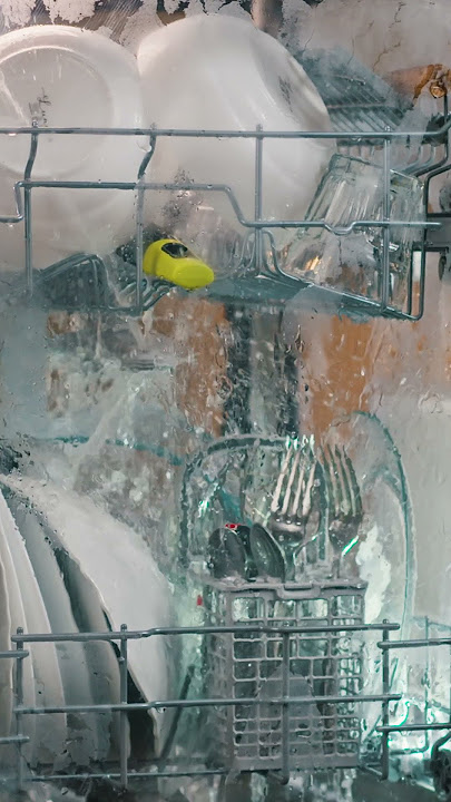 Inside a dishwasher #shorts