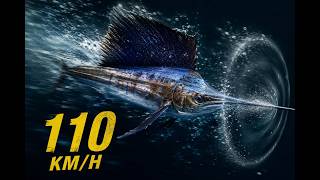 The Speed That Physics Can't Explain