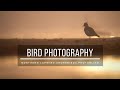 Made the biggest Rookie MISSTAKE! | Bird Photography | Northern Lapwing in misty morning.