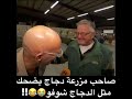 ضحكه الدجاجة