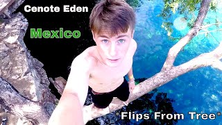 Tree Jump Into Mexican Cenote! | Cenote Eden (Playa Del Carmen)
