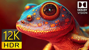 EXPERIENCE THE ULTIMATE COLOR DEPTH OF 12K HDR 240FPS