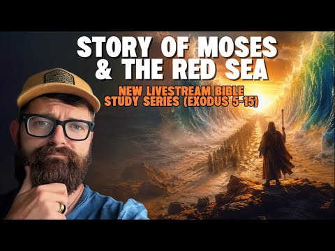 PART 6 LIVESTREAM SERIES 📖🔥 Exodus chapter 10 “The plagues, 8 & 9”