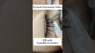 Any eyelash extension looks so good #lashes #lashify #lashset #lashextensions #eyelashes #beauty