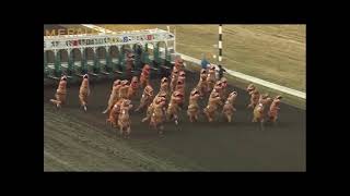 VIDEO: Dinosaurs take the track in viral T-Rex races