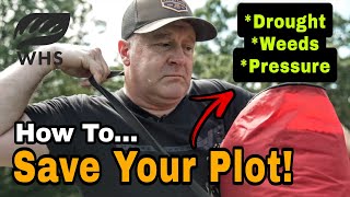 Food Plot Salvage Tips