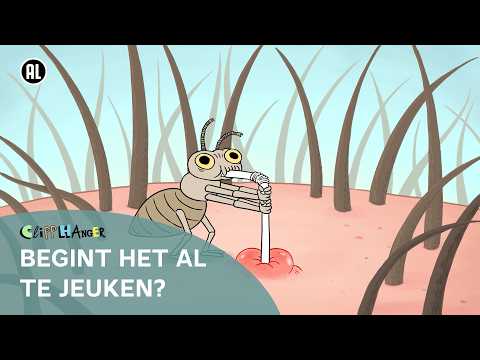 Wat zijn hoofdluizen?🪳