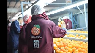 Fruit Logistics
