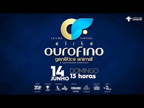 LOTE 20   OURO 3445