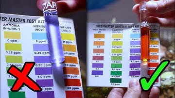 HOW TO: Cycle Your Fish Tank