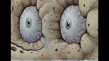 EAS MOCK: Tornado Warning GONE WRONG