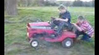 Oak Tree Massive Brapppp